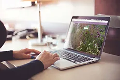 Maddie Dineen Landscaping Web Design